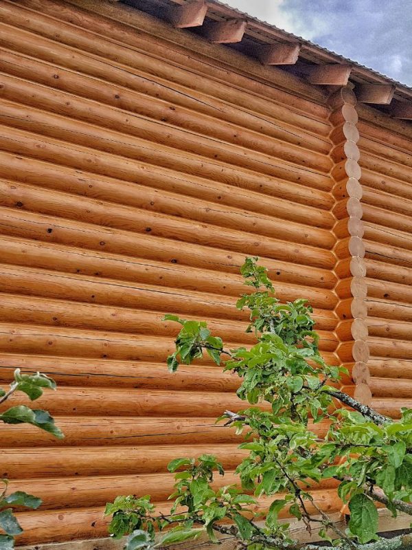 photo_2022-04-05 12.58.00