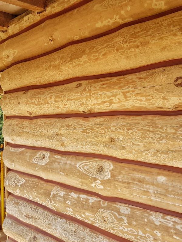 photo_2022-04-05 12.58.08