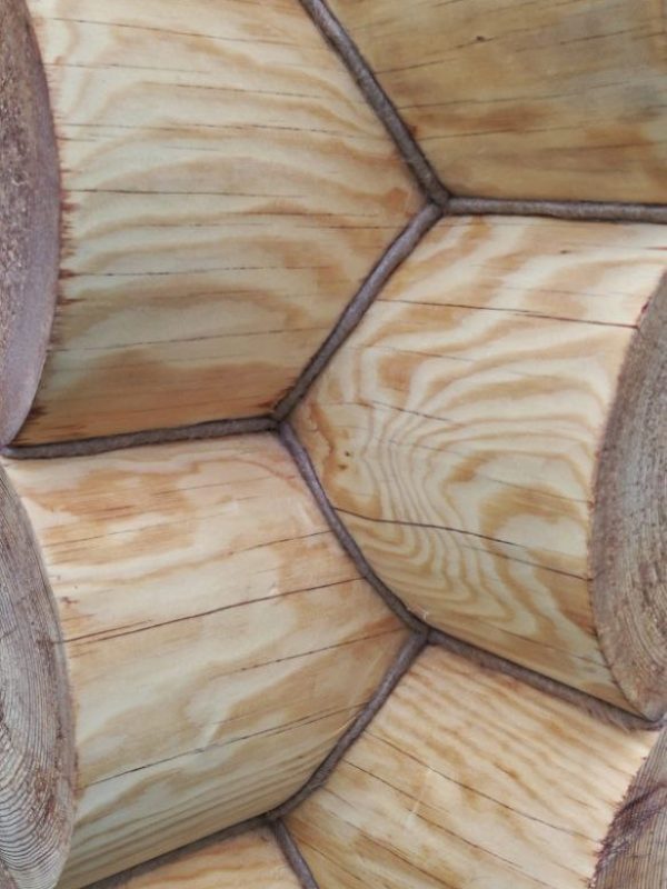 photo_2022-04-05 12.58.42