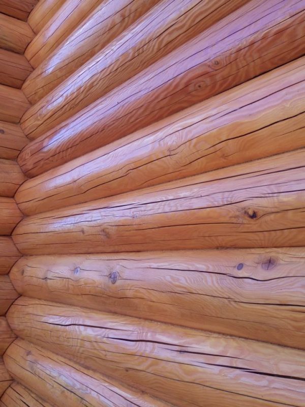 photo_2022-04-06 12.55.42