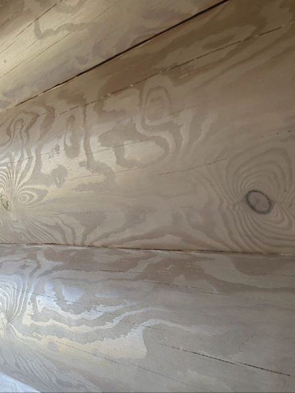 photo_2023-01-29 18.43.46