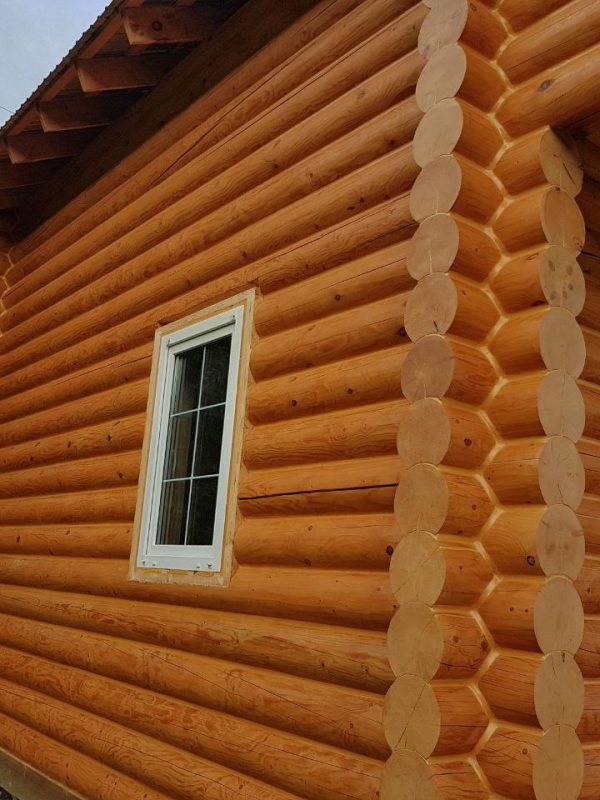 photo_2023-01-29 18.43.52